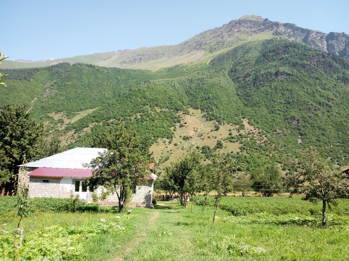 Guesthouse Mamuka Zhabesh Zhabeshi Exterior foto